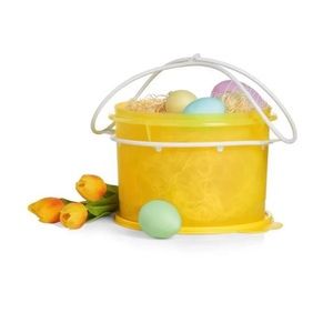 Tupperware multifunctional basket